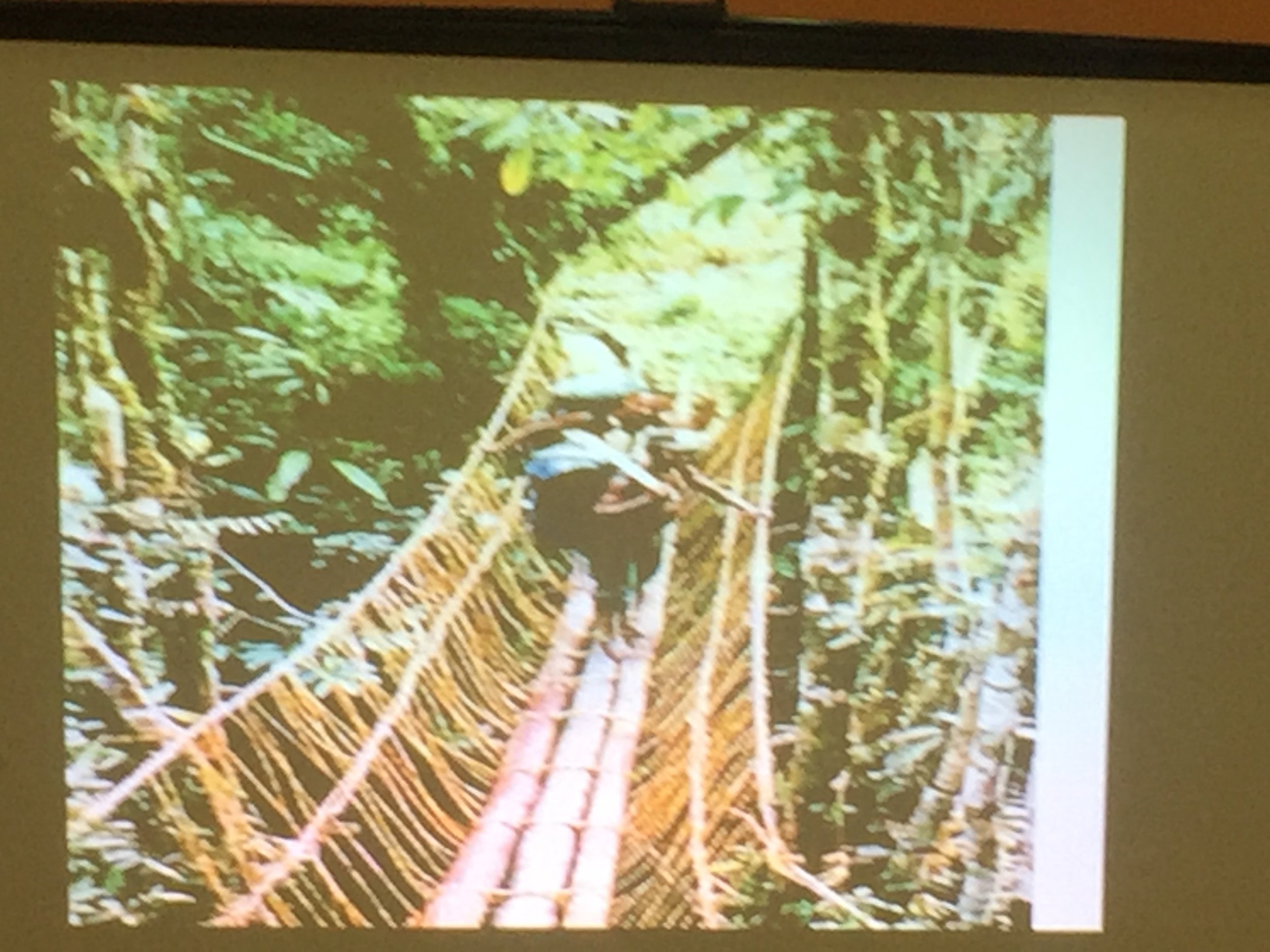 2017-10-14 20.40.31.jpg