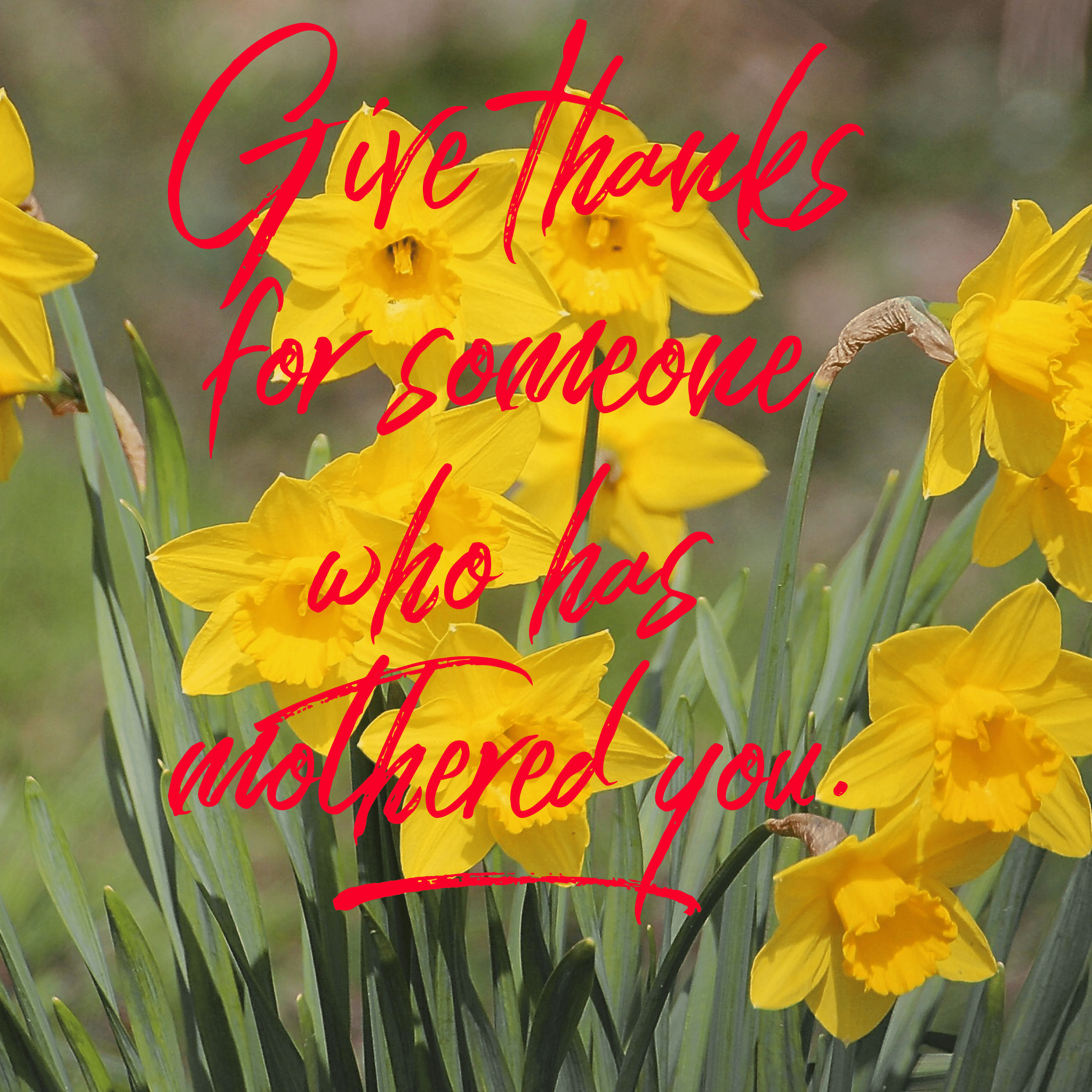 Mothers DAy pain infertility cavan drung stradone lavey ballyhaise redhills larah